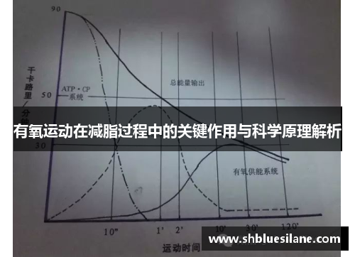 有氧运动在减脂过程中的关键作用与科学原理解析