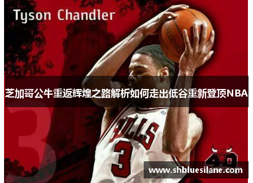 芝加哥公牛重返辉煌之路解析如何走出低谷重新登顶NBA