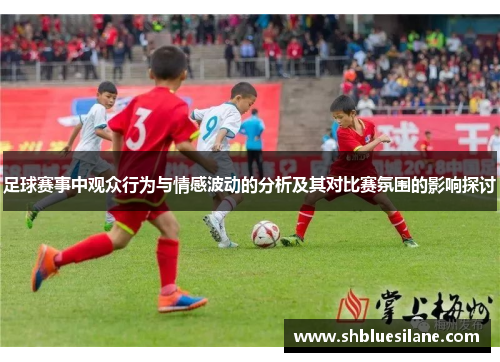 足球赛事中观众行为与情感波动的分析及其对比赛氛围的影响探讨