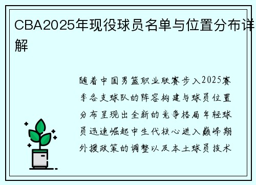 CBA2025年现役球员名单与位置分布详解