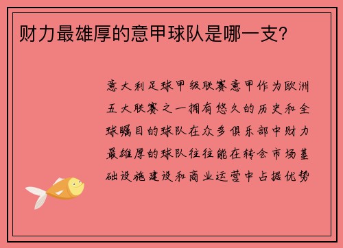 财力最雄厚的意甲球队是哪一支？